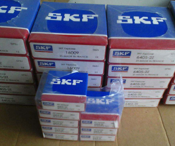 進(jìn)口SKF 2318軸承